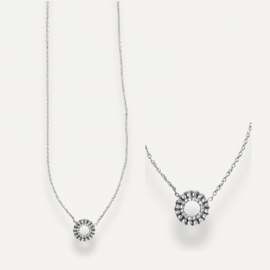 Collier Cercle de Strass Argenté